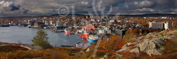 St. John's Harbour in autumn